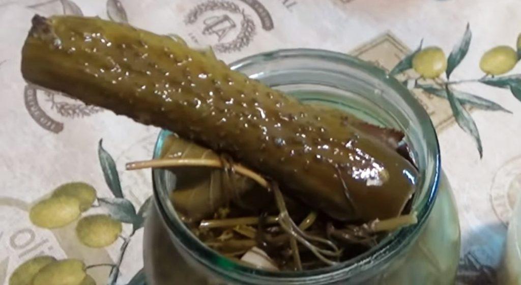 Огірочки краще бочкових! Солоні огірки з часниковими стрілками і гірчицею: без оцту і стерилізації