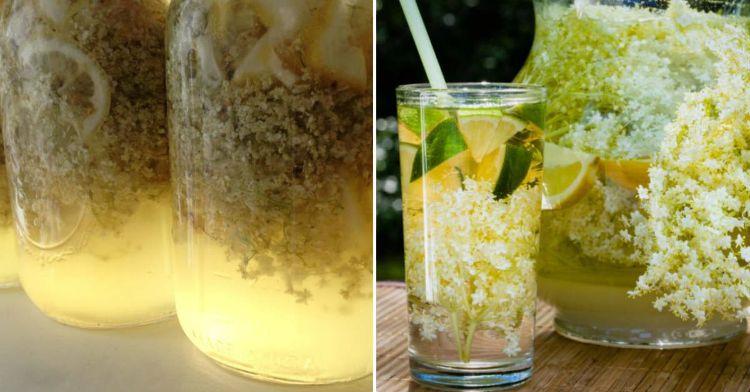 Домашній освіжаючий лимонад з бузини: з бульбашками та приємним смаком