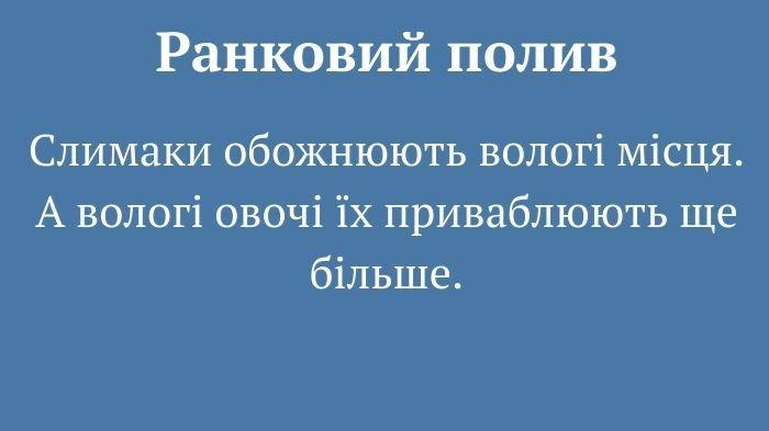 10 дієвих методів боротьби зі слимаками. Городникам на замітку