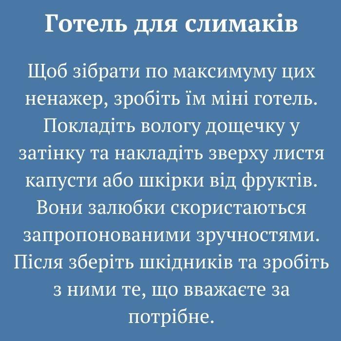 10 дієвих методів боротьби зі слимаками. Городникам на замітку