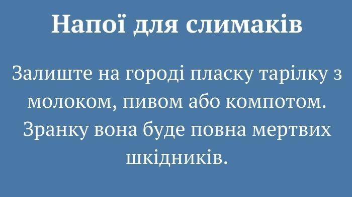 10 дієвих методів боротьби зі слимаками. Городникам на замітку