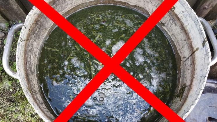 Три поради від досвідчених агрономів в серпні, щоб перець плодоносив максимально довго