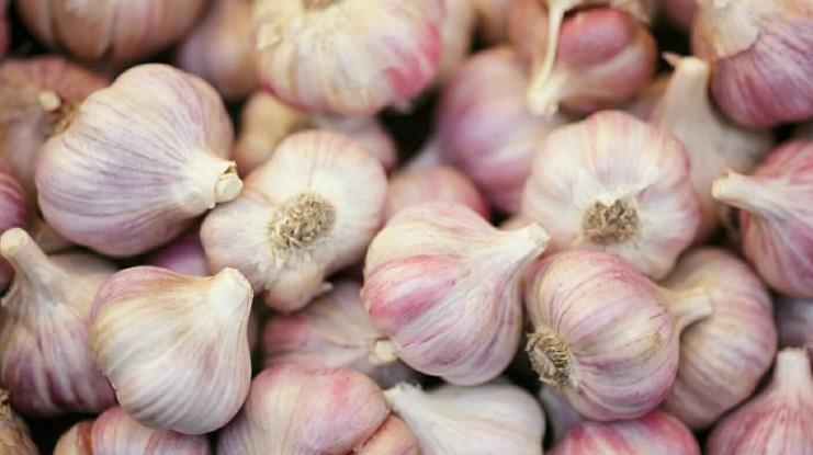 Дієві способи зберегти часник до весни в домашніх умовах