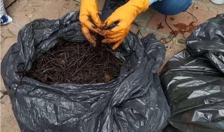 «Швидкий» осінній компост в мішках: буде готовий вже до наступної весни