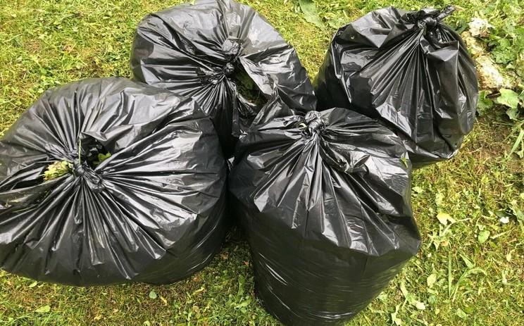 «Швидкий» осінній компост в мішках: буде готовий вже до наступної весни