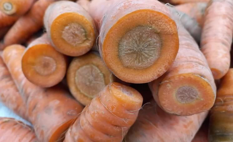 Завдяки цьому способу морква добре зберігається в теплому льоху або на лоджії