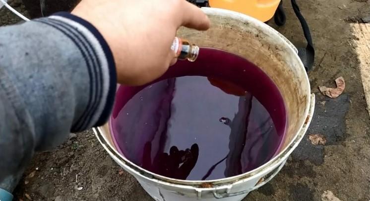 Готуємо грядку під озимий часник