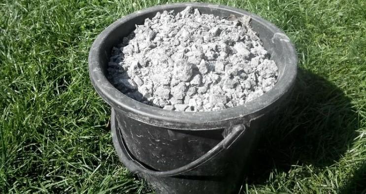 Що покласти в грядку під часник? Знадобиться всього один, але дуже ефективний засіб