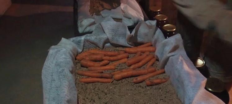 Знайшли найкращий спосіб зберігання буряків і моркви на зиму