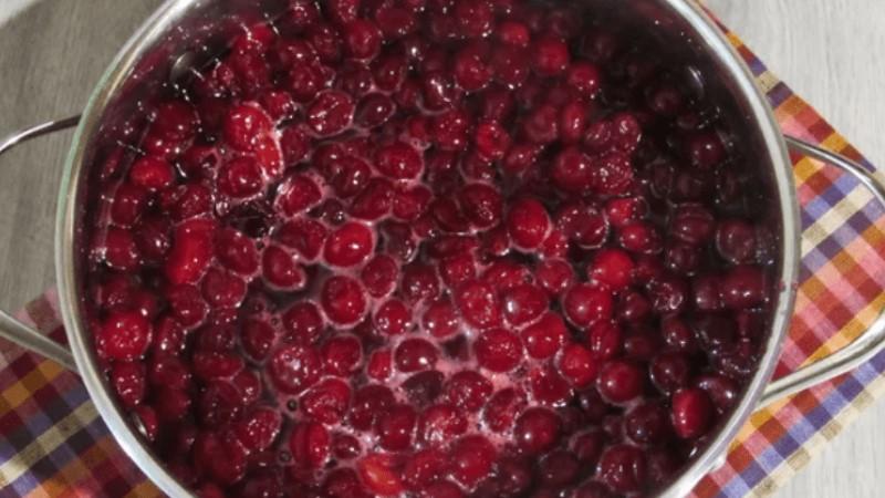 В’ялена вишня в домашніх умовах: смачна та корисна ягода, яку ми заготуємо на зиму (плюс рецепт вишневого соку і сиропу)