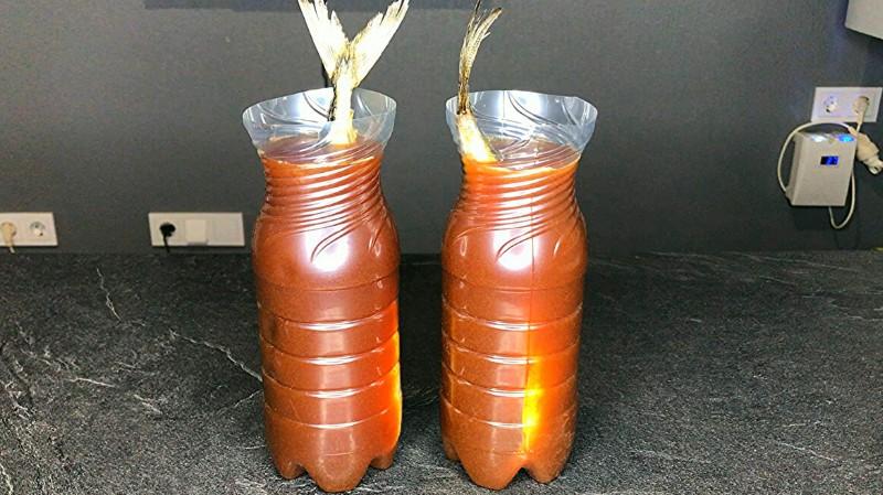 Просто кладу рибу в пляшку і заливаю маринадом – виходить просто неперевершеною